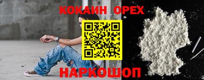 стаф Будённовск