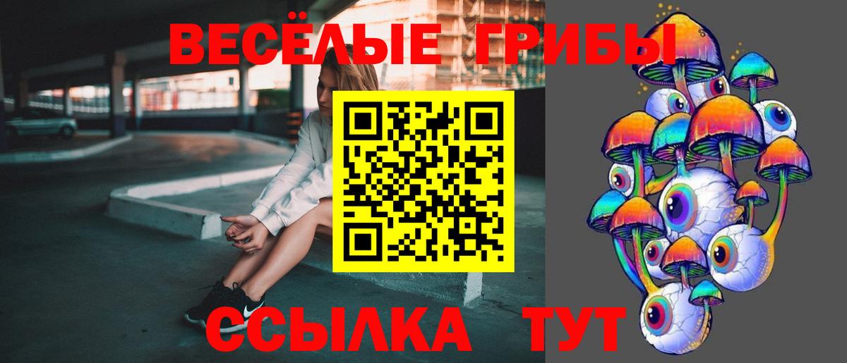 Галлюциногенные грибы прущие грибы Электросталь